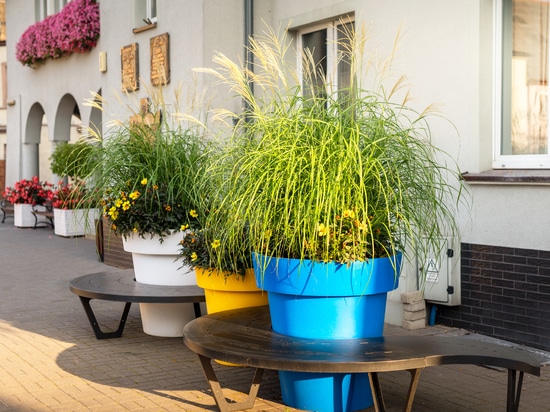 Frühlingsarrangements im öffentlichen Raum: Farbe, Helligkeit und Struktur