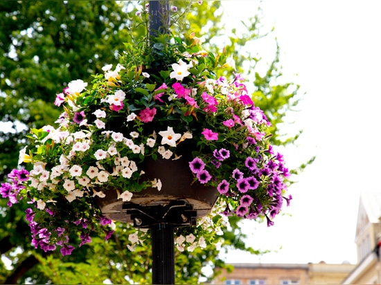 Frühlingsarrangements im öffentlichen Raum: Farbe, Helligkeit und Struktur