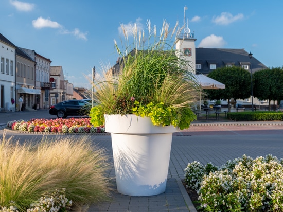 Frühlingsarrangements im öffentlichen Raum: Farbe, Helligkeit und Struktur