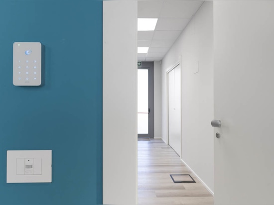 AVE für Coworking: Design und Innovation erobern das Büro