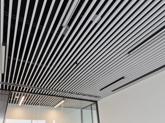 Atena Clip-In-System