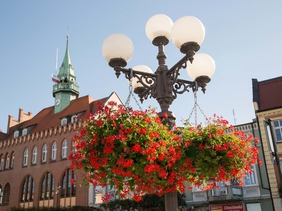 Hängende Blumenkästen für den städtischen Raum: vertikale Begrünung für die Stadt