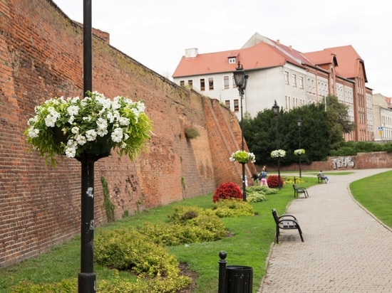 Hängende Blumenkästen für den städtischen Raum: vertikale Begrünung für die Stadt