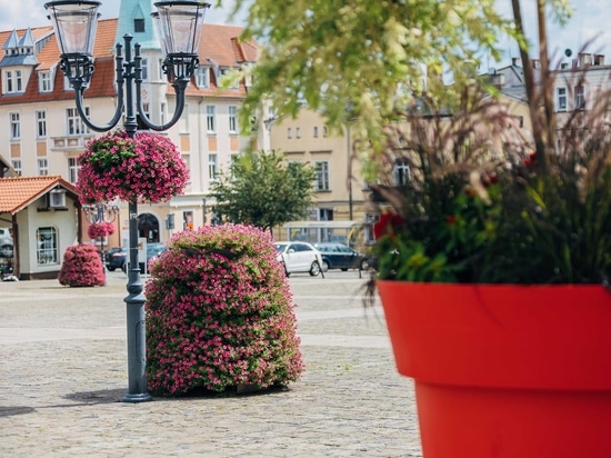 Hängende Blumenkästen für den städtischen Raum: vertikale Begrünung für die Stadt