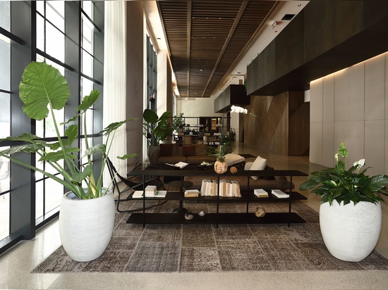 Gale Miami | Teppichkollektion „MeatPacking“