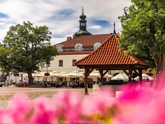 Stadtgrün und städtische Identität: das Beispiel Krosno
