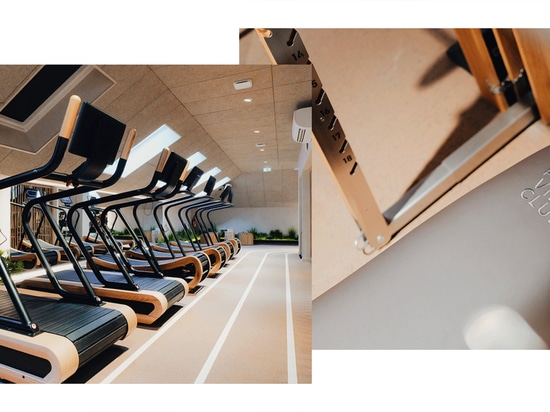Projekt im Fokus: Pura Vida Club, ein Premium-Fitnessstudio in Brest