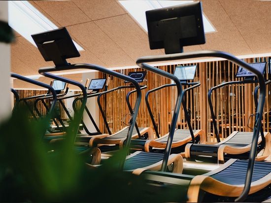 Projekt im Fokus: Pura Vida Club, ein Premium-Fitnessstudio in Brest