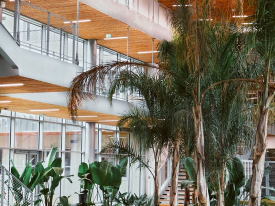 Beleuchtung in Schulen