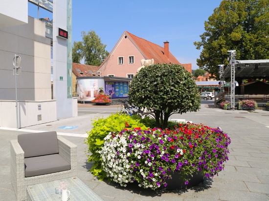 Große städtische Pflanzkübel: das Beispiel Köflach