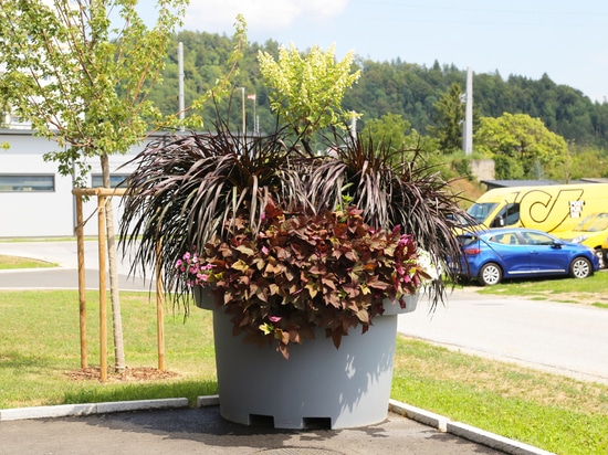 Große städtische Pflanzkübel: das Beispiel Köflach