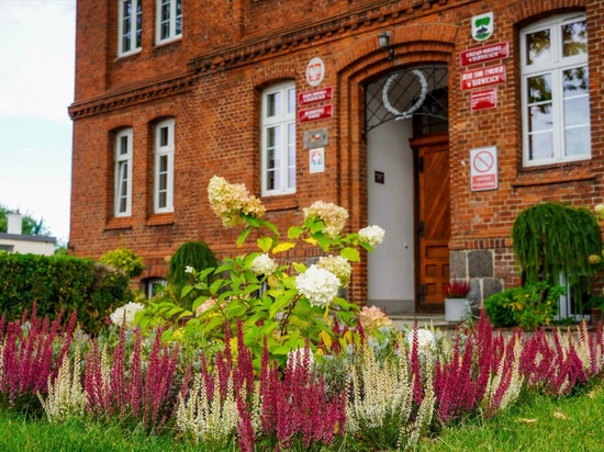 Blumentürme im Herbst: das Beispiel Barwice
