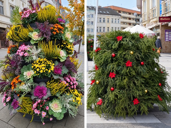Herbstblumentürme: das Beispiel Świnoujście