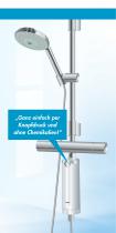 bwt quick clean flyer - 3