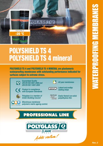 POLYSHIELD TS 4 / POLYSHIELD TS 4 mineral