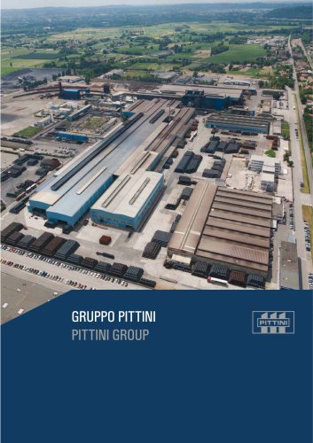 PITTINI GROUP