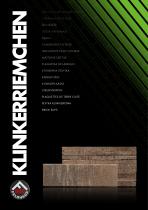 thin brick brochure