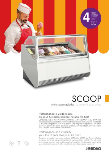 Flyer 7