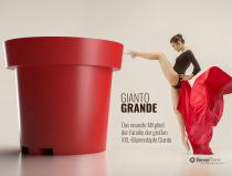 Gianto Grande - 1