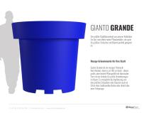 Gianto Grande - 2