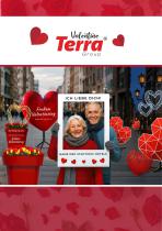 Valentinstagsdekorationen für Hotels, Restaurants und öffentliche Räume-1