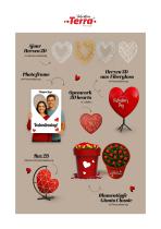 Valentinstagsdekorationen für Hotels, Restaurants und öffentliche Räume-2