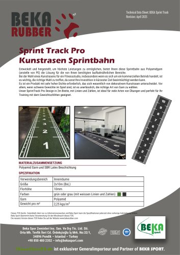 SPRINT TRACK PRO GERMAN TDS