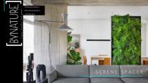 serene_spacer