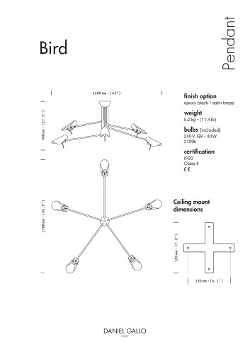 BIRD 3 BRAS