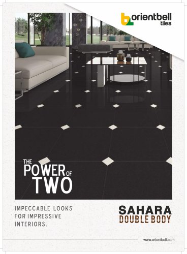 Sahara Double Body Glossy Tile