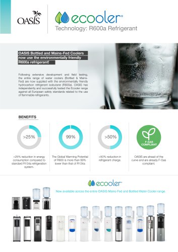 Flyer for Ecooler