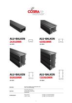 COBRAFASTENER 2025 - 8