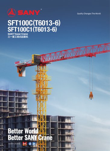 Tower Crane-SFT100C(T6013-6)