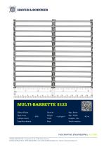 MULTI-BARRETTE 8123