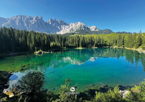 Scarica catalogo Natura