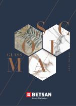 Betsan Mosaic Brochure 2024