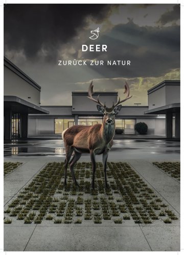 Deer Brochure