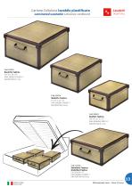 Lavatelli Organizing - 13