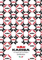 Kariba Overview