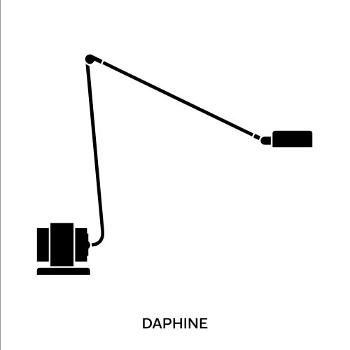 Daphine