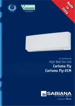 Carisma Fly - Fly-ECM