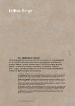 Lithos - 19