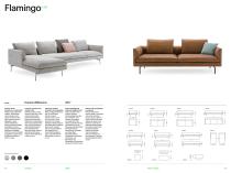 2025 Collection - 19