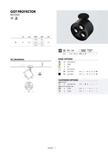 Technical Datasheet GOT PROYECTOR RECESSED