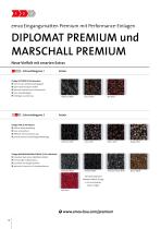 Starkes Schutzschild für das Entree - 16