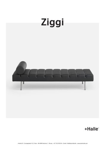 Ziggi