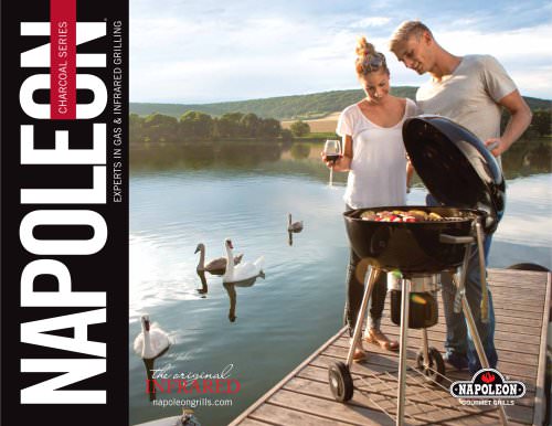 PRO22K Professional Charcoal Kettle Grill