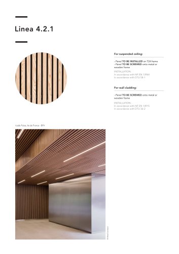 Linea 4.2.1