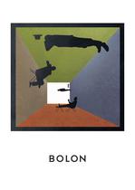 BOLON katalog 2012