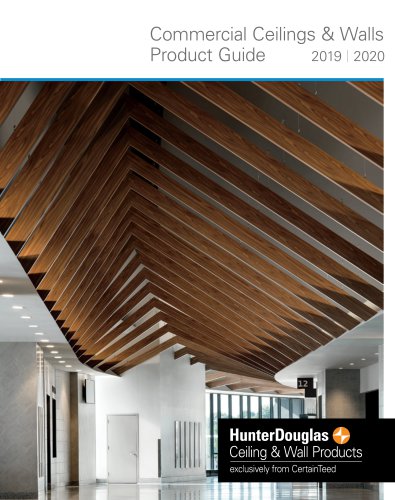 Commercial Ceilings & Walls